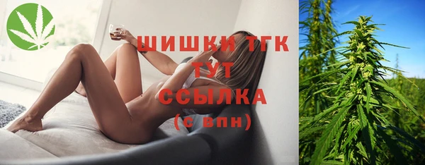 гидра Мегион