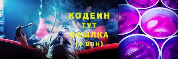 дмт Медногорск