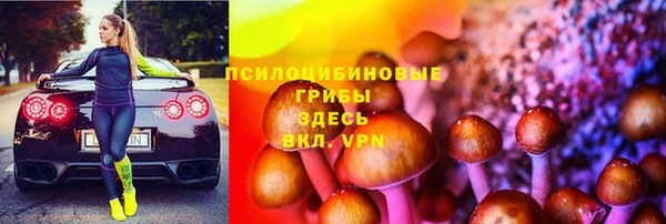 гидра Мегион