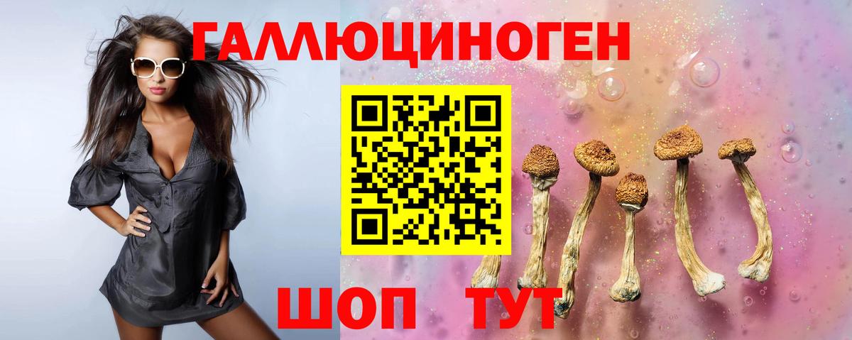 Псилоцибиновые грибы мухоморы Анапа